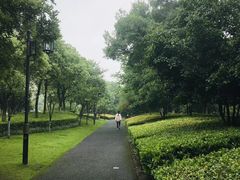 -杭州城北体育公园