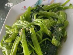 -连理枝渔家乐