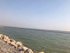 -合肥滨湖国家森林公园