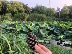 -美兰湖景区