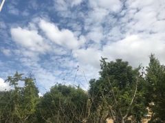 -上海怡沁园度假酒店