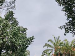 -云南勐巴娜西珍奇园