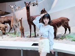-武汉园博园(武汉自然博物馆)
