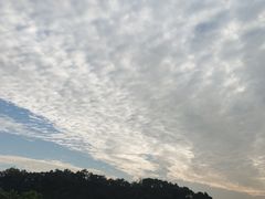 -东莞植物园