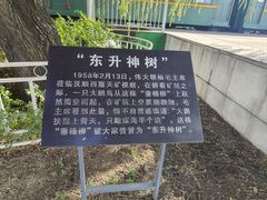 -抚顺煤矿博物馆