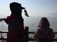 -昆明洲际酒店