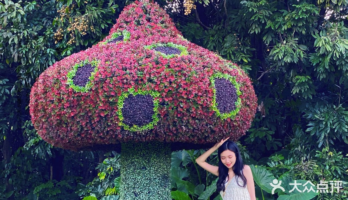 东莞0元拍照｜误入宫崎骏电影🎬是夏天的感觉