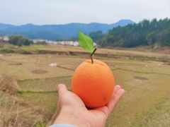 -赣南风味阁(赣州客家大道店)