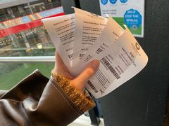 -墨尔本之星 观景摩天轮