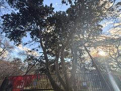 -北陵公园