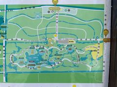 -上海海湾国家森林公园