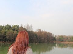 -东湖落雁景区