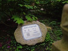 -龙华寺
