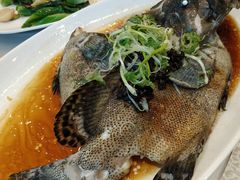 -海港酒家(上水新丰店)