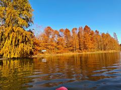 -上海海湾国家森林公园