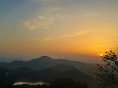 -大姆山草场