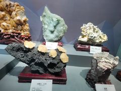 -湖南省地质博物馆