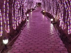 -开元溶洞