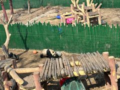 -沈阳森林动物园