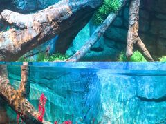 -沈阳海洋探索中心