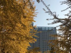 -辽宁大学(崇山校区)