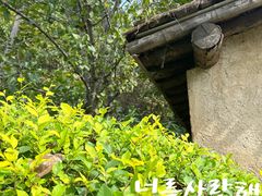-珲春防川景区