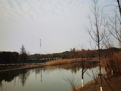 -南汇新城城市公园