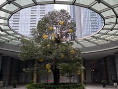 -澜亭中餐厅·一线江景·尊蓝豪华精选