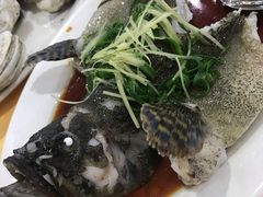 老虎斑-蚝专家(北滘店)
