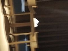 -JOYA湾悦国际酒店(世界之窗店)