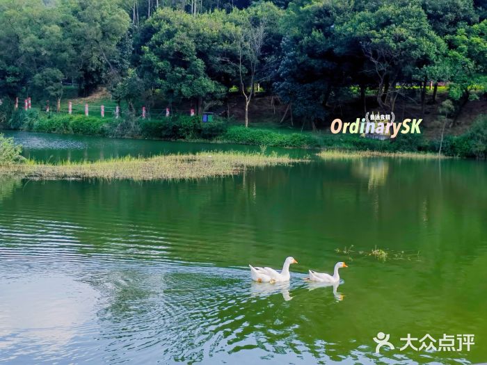 叱石风景区图片