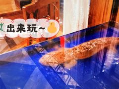 -木空间潇湘罗氏虾