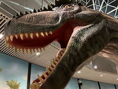 -湖南省地质博物馆