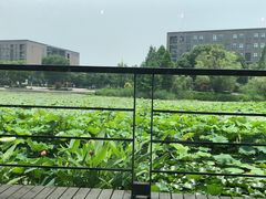 -3W咖啡(国家软件园店)