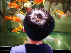 -北海金昌开元名都大酒店·四季轩中餐厅