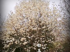 -白塘生态植物园