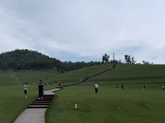 -关山草原