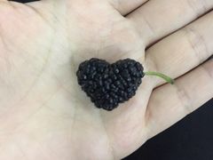 -王红军龙虾(盐仓桥店)