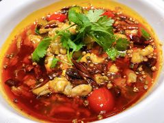 水煮牛蛙-扬浦大酒楼(平顶山路店)