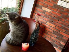 -B.O.M波姆烘焙(凤凰街店)