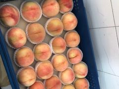 -老袁家蜜桃农场·阳山水蜜桃