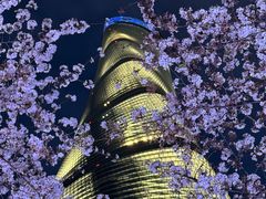 -上海环球金融中心-停车场