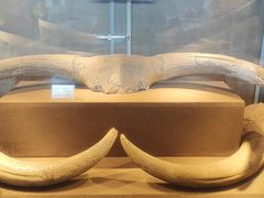 -丁村民俗博物馆