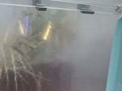 -享月汤皇·海鲜小火锅·聚会(曲江创意谷店)