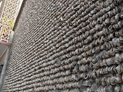 -小洲村
