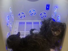 -熊小胖宠物生活馆(天华园店)