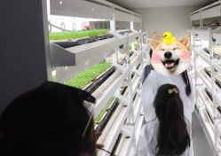 -麦粒鸟亲子游
