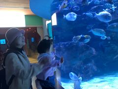 -海合安成都极地海洋公园