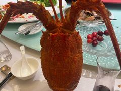 澳洲大龍蝦-顺峰(农展馆店)
