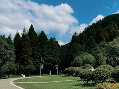 -贵阳市花溪国家城市湿地公园